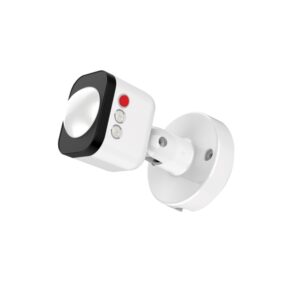 Công tắc cảm biến không dây CT02.PIR.BLE RẠNG ĐÔNG
