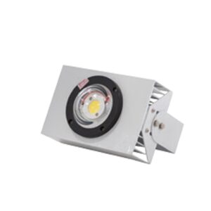 Đèn LED Câu mực 30W DCM 01L/30W RẠNG ĐÔNG