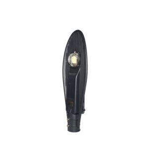 Đèn đường LED 60W D CSD02L/60W RẠNG ĐÔNG
