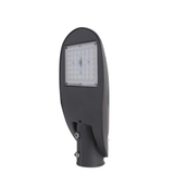 Đèn đường LED 30W D CSD03L/30W RẠNG ĐÔNG