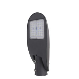 Đèn đường LED 30W D CSD03L/30W RẠNG ĐÔNG