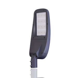 Đèn đường LED 100W D CSD06L/100W RẠNG ĐÔNG
