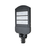 Đèn đường LED 100W D CSD05L/100W RẠNG ĐÔNG