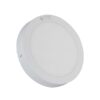 Đèn LED Ốp trần Tròn 12W D LN09L 172/12W RẠNG ĐÔNG 2