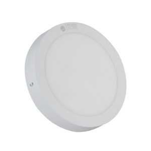 Đèn LED Ốp trần Tròn 18W D LN09L 225/18W RẠNG ĐÔNG