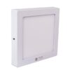 Đèn LED Ốp trần Vuông 12W D LN08L 17x17/12W RẠNG ĐÔNG 1