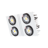 Đèn LED Đánh cá 400W DC05 400W RẠNG ĐÔNG
