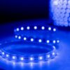 Đèn LED dây trang trí LD01.B 1000/7W RẠNG ĐÔNG 2
