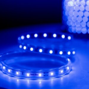 Đèn LED dây trang trí LD01.B 1000/7W RẠNG ĐÔNG