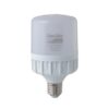 Bóng đèn LED BULB chuyên dụng cho tàu cá 40W LED TR80/40W RẠNG ĐÔNG 1