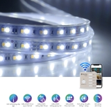Đèn LED dây đổi màu CCT Bluetooth LD01.RF.BLE 1000/7W RẠNG ĐÔNG