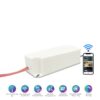 Bộ công tắc chuyển mạch CT.BLE ON/OFF RẠNG ĐÔNG 2