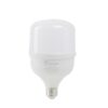 Bóng đèn LED BULB chuyên dụng cho tàu cá 30W TR100.TC/30W RẠNG ĐÔNG 2